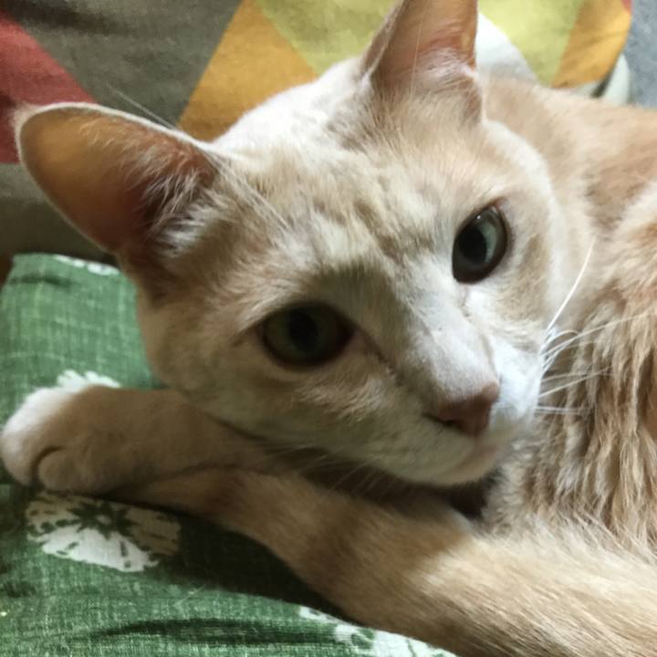 06827e90 fc78 42bd bf40 002afa561727