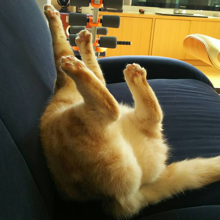 0682a038 2bda 49f2 b1a1 43d306d36173