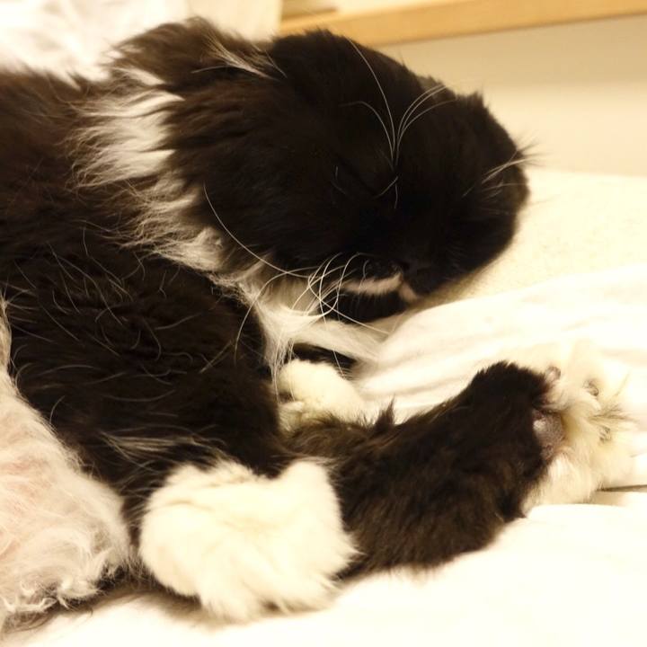 068411da e2e2 4e52 af7b 9d47d2406f66