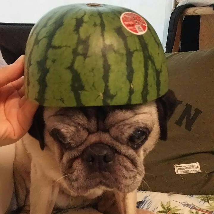 06842bea cfb0 491f a427 fcd7bb99e2ef