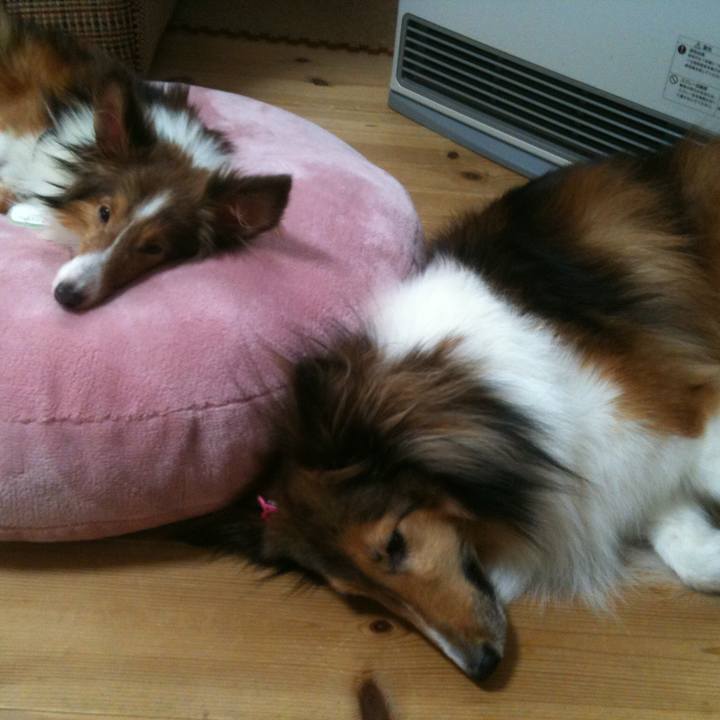 0684338c 7de6 4019 91fd e40160063057