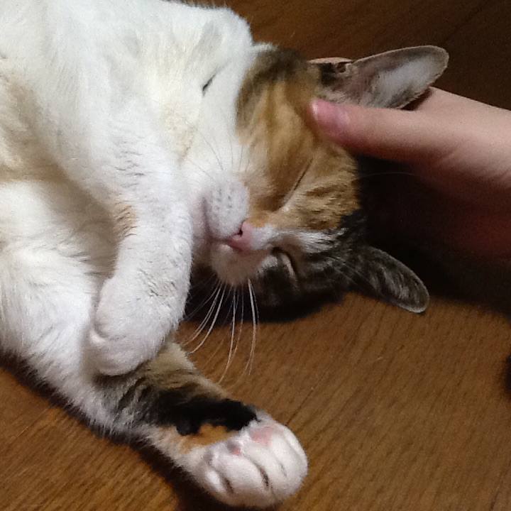 0684569b ca3d 472f b0fc 908497c93531