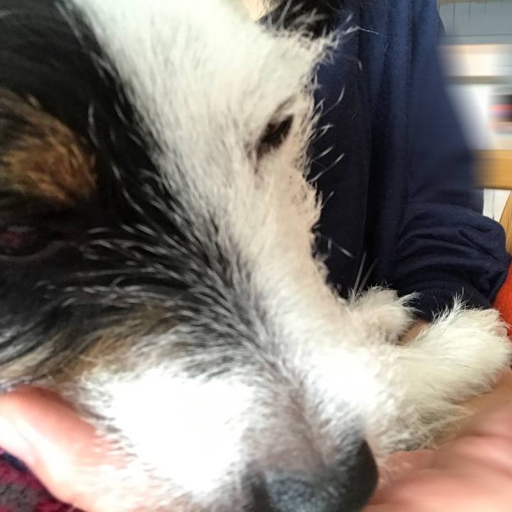 0684a416 53ce 44ad b561 eaafc5b74ba3