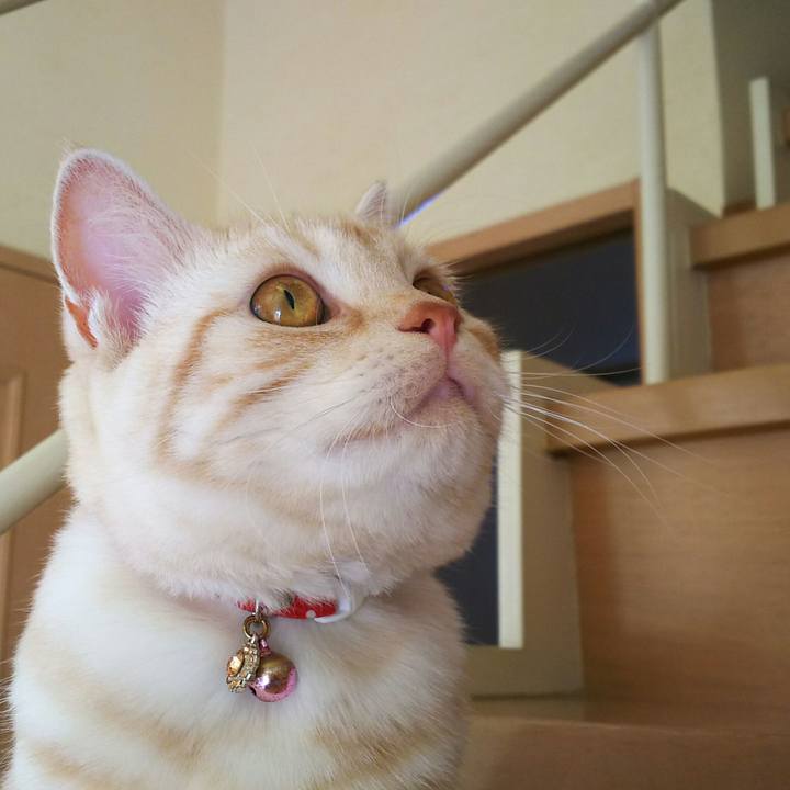 0684b695 255e 4529 840a 2d29fde9b9fb