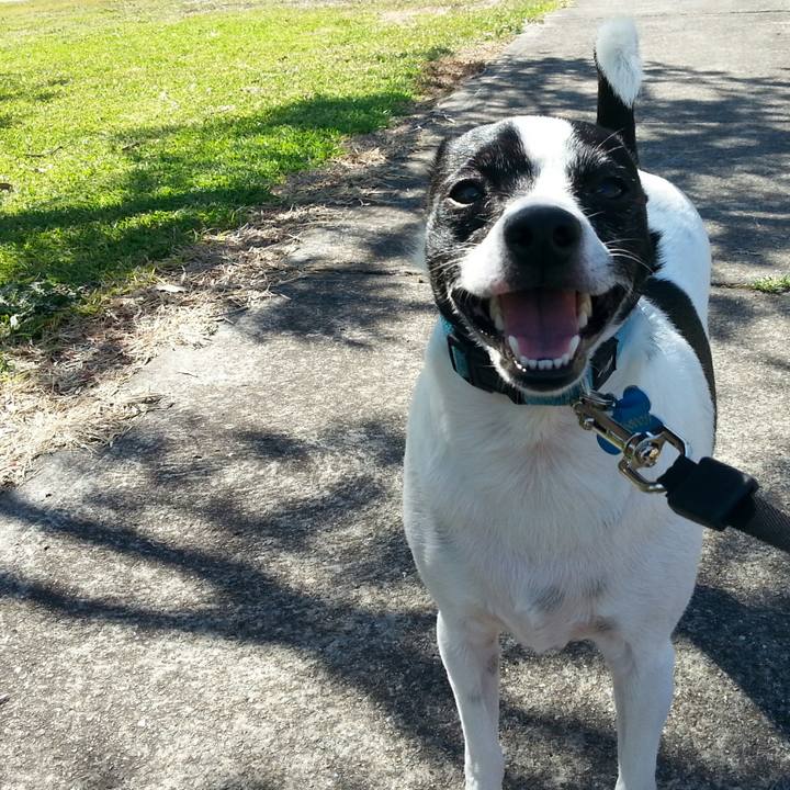 06857c5c 34cd 44e0 9a91 d7a0f490fa7b