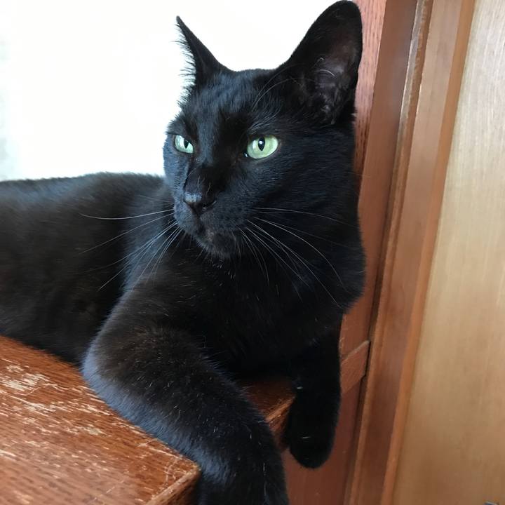 0685e5eb f8f1 4f7c 98ff bfc8d33f414c