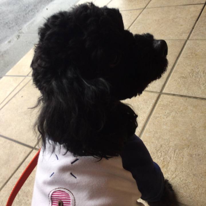 0686795d 36ee 46f3 abb9 0c889acec4a5