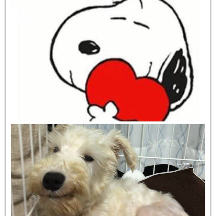 0686c142 2793 4b94 9373 756c84411b11