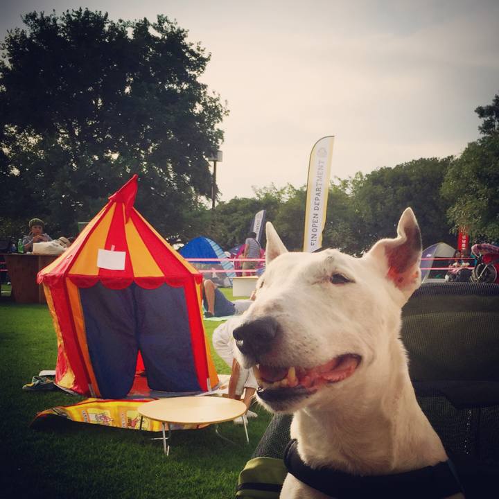 0686f514 8c96 4ffa b50f 7eb0565888fa