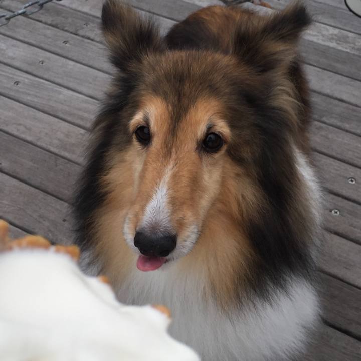 06870820 6250 4bb1 abfb 3fc85171871f