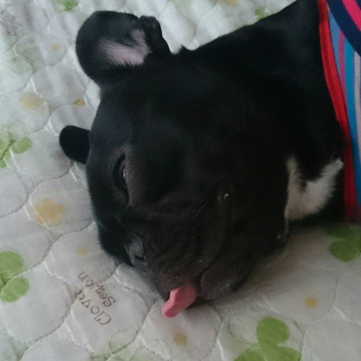 0687983b 5aaf 4200 9659 4b6ae2aa7002