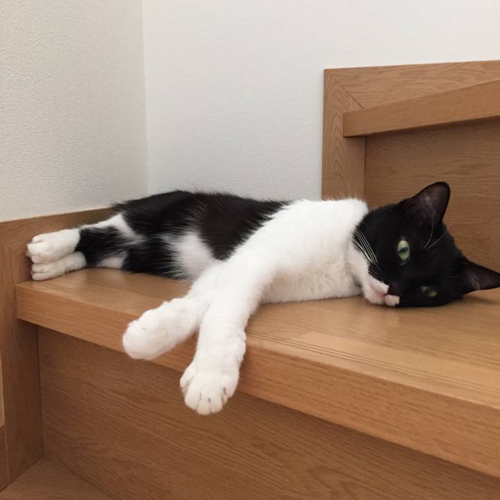 06880c5d 6bec 49cf b91e 7599f5b46a08