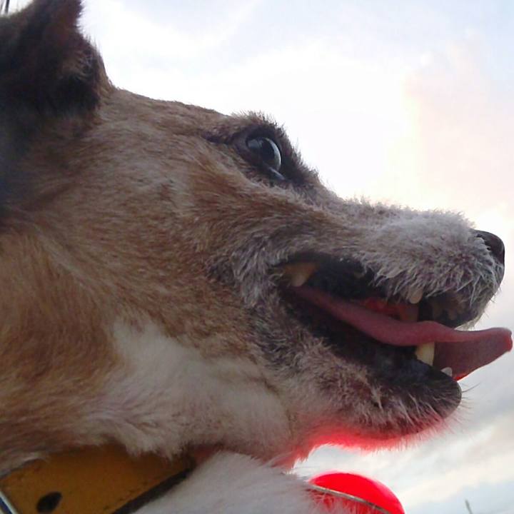 0688341b edad 4ce2 89c7 76f1fc0e5562