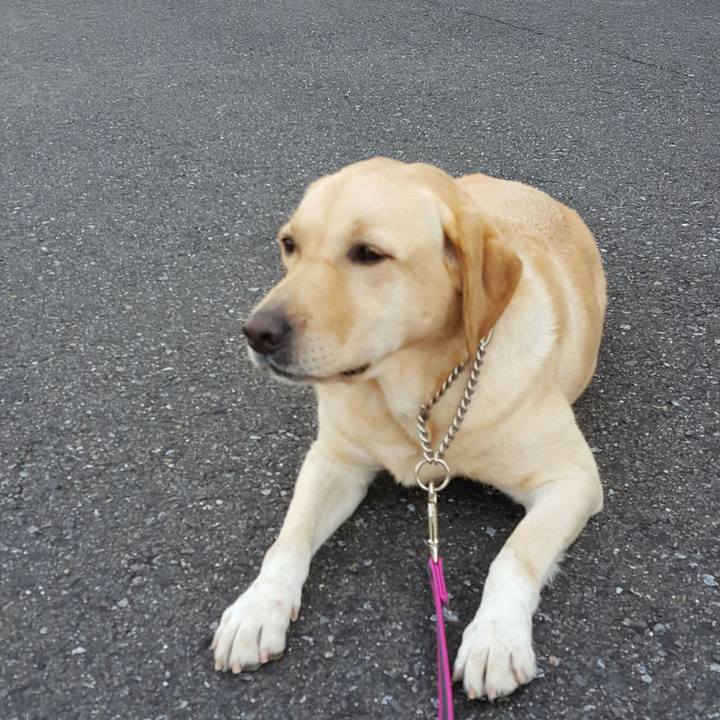 0688ac57 d387 4398 8141 c6d7fc2e2bb9