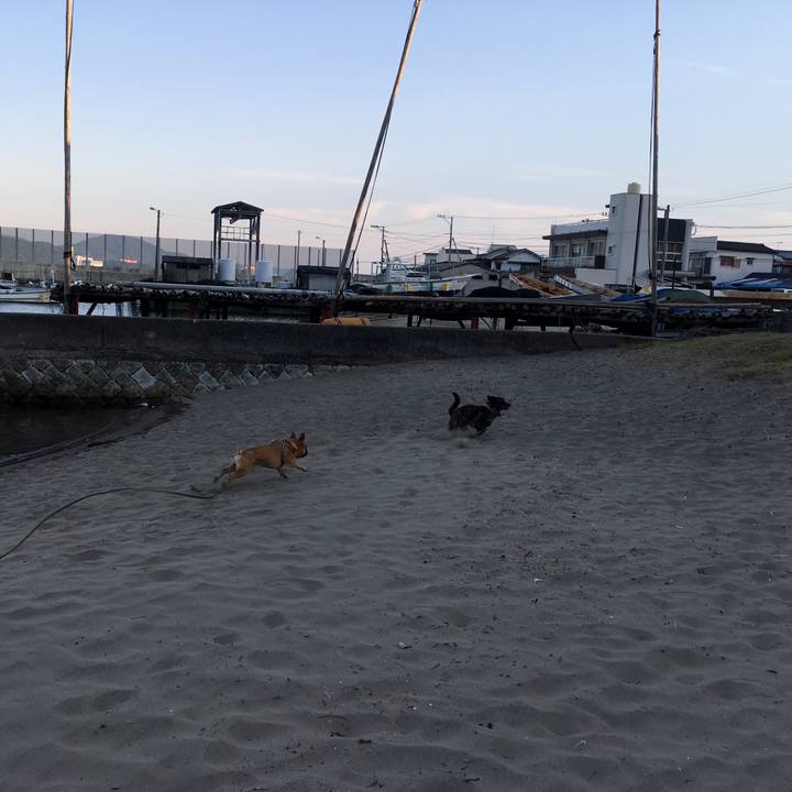 06896440 dcb3 479f 875e 1a5eda8ecf44