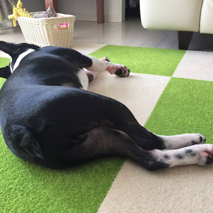 06896f63 6442 4b2b 9dfb 18b1b27f3cfc