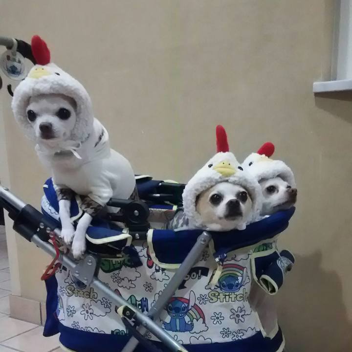 0689fe47 b959 4cc5 9e67 1e9b632cf053