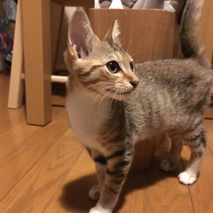 068a4919 a747 42c1 9eaa a4738ef549c6