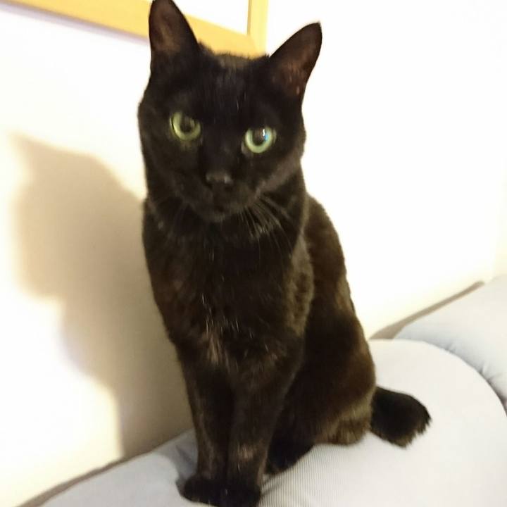 068b8b54 dcfd 4707 a769 a7dc2b373459