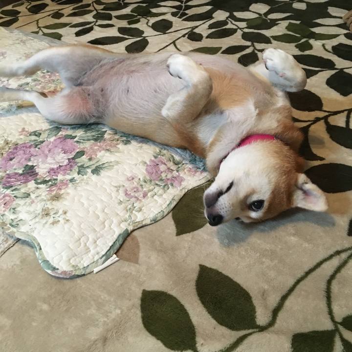 068c39a6 e68e 4ae4 bb42 09659691832c