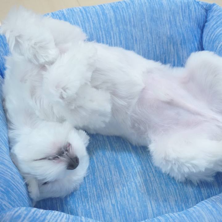 068c4c78 97a9 44bf 8f4f 8b94cb80051f