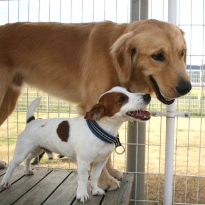 068c5a9b 4237 468f 9a1f 37bff21d7cec