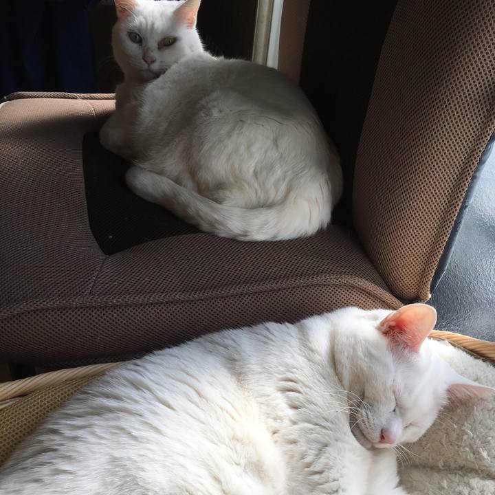 068d194c 6d6d 425f a71e 91806856f245