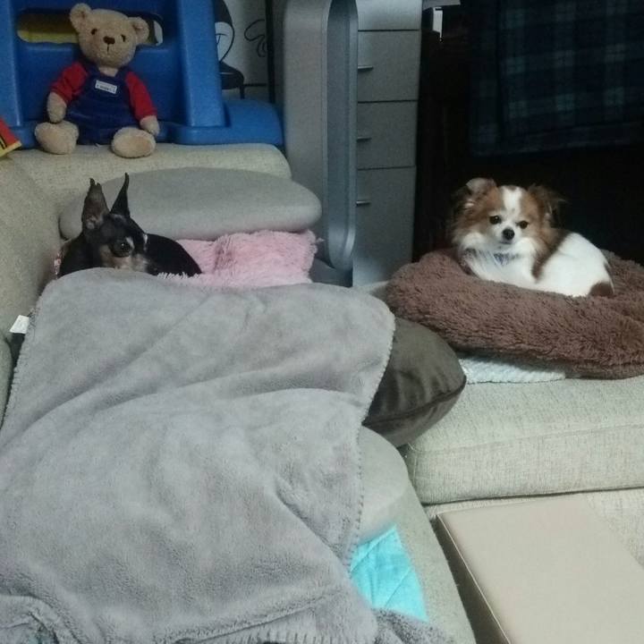 068dbb84 7284 45dc b94c 8d35fde18c1c