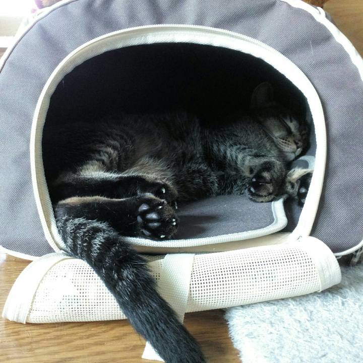 068ddd30 ae13 4869 8368 913364e316ea