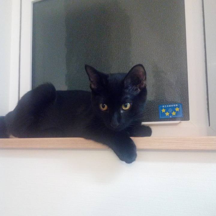 068de84b f39a 4309 aa15 464f297e7311