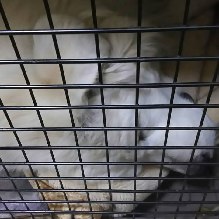 068e334f 6d10 4847 b76e d5ecac1dae79