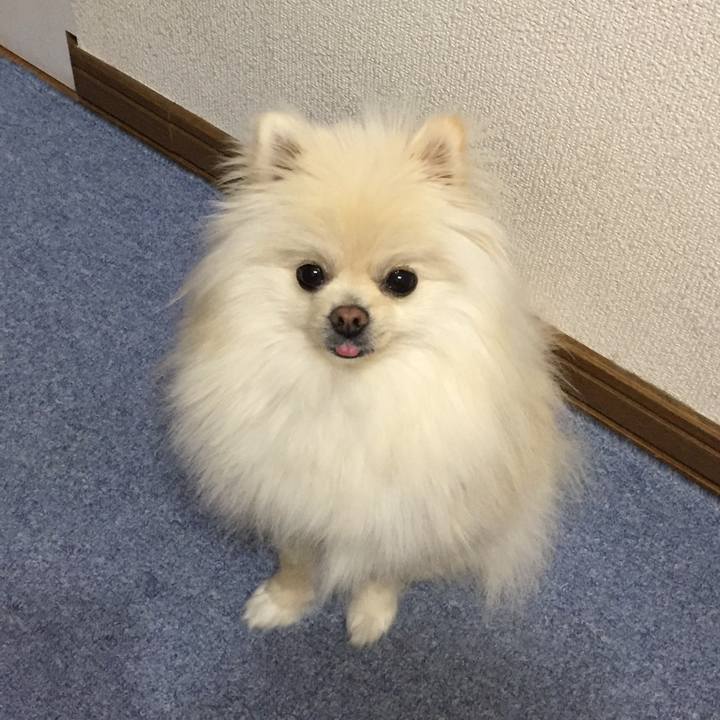 068ea7f6 71f4 4454 8f83 707734c41205