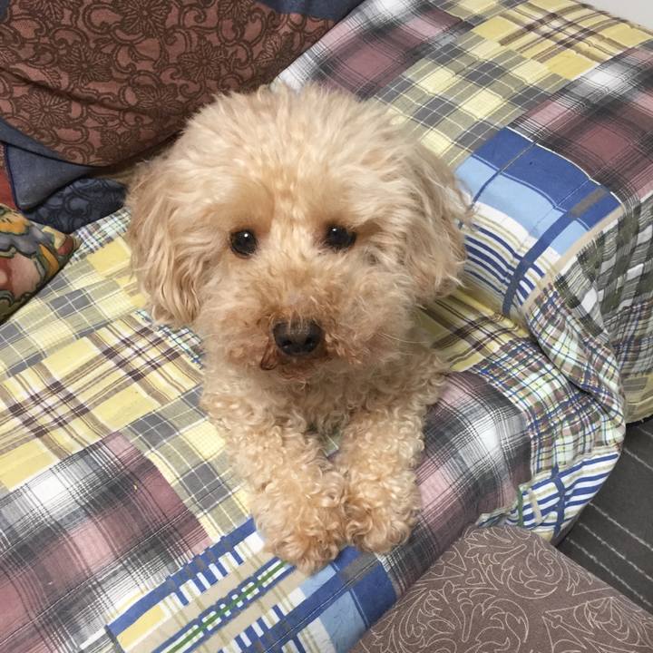 068ebb49 0bae 4d45 aacb 518cfd60e7c2