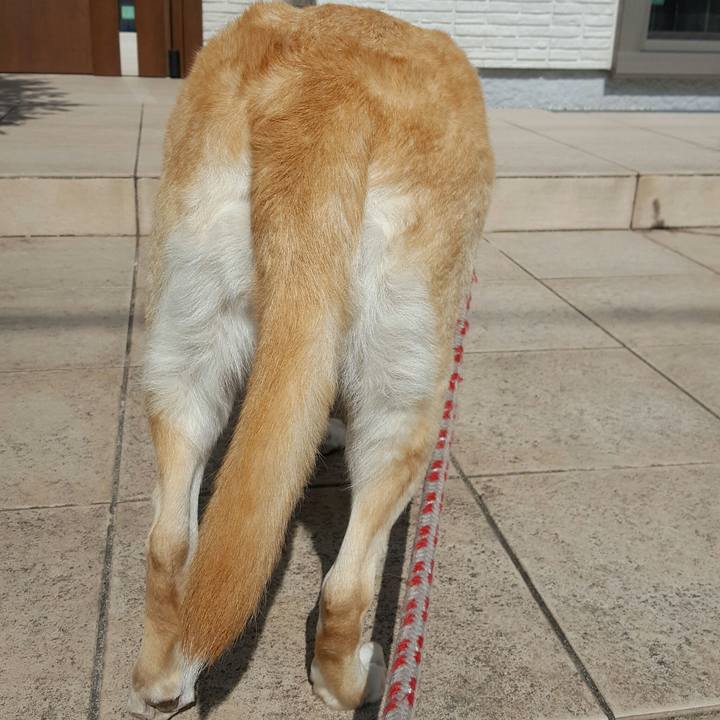 068ed141 654f 4ea9 a3b7 97872221ff76