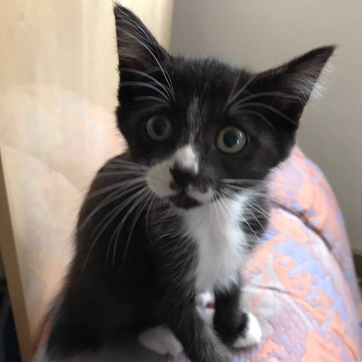 068f178d 4c36 4a41 adec 14ede761b6e1