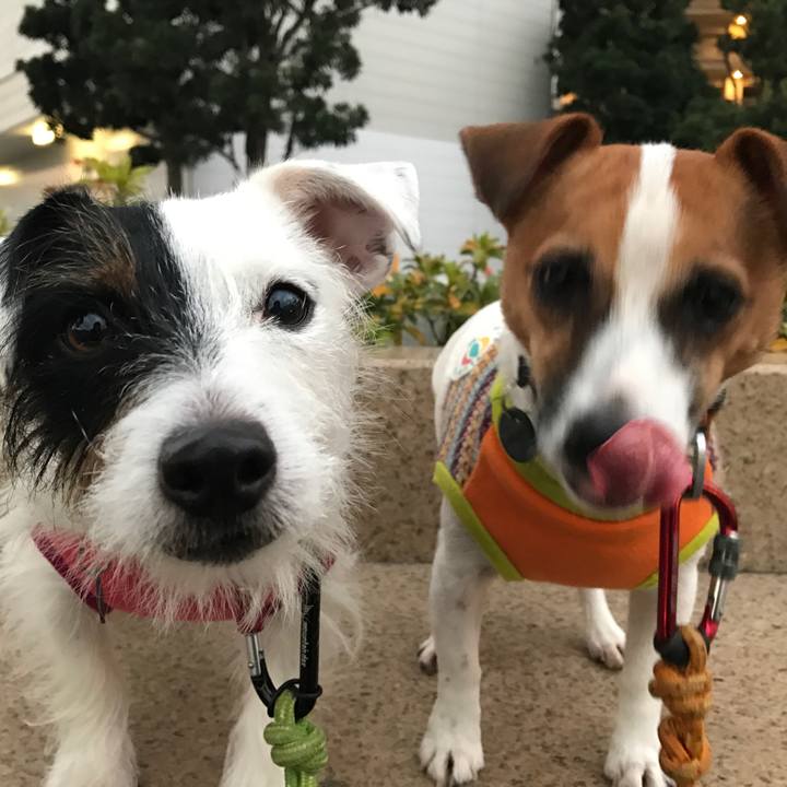 068fa470 5176 41f5 880c d982f2f00111