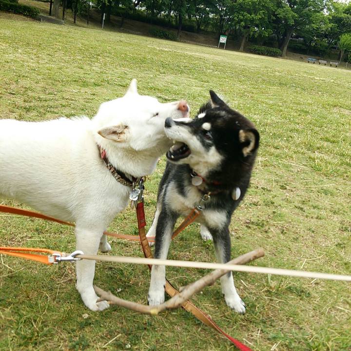 0690176a b75a 42b2 98f6 efa61e18619d