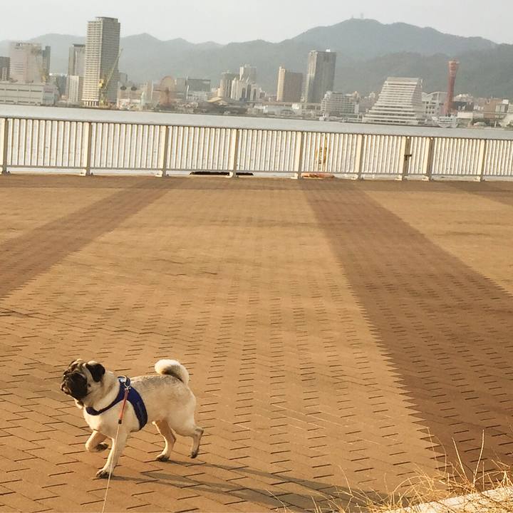 069054ad 18d0 4e38 ae71 dc8170f58e43