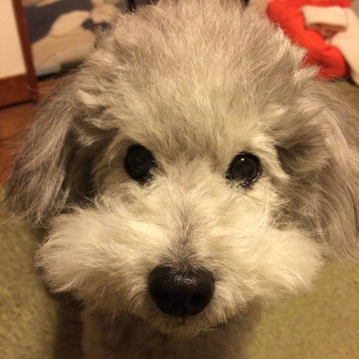 0690577d 3616 44e9 871a 76f463fb343f