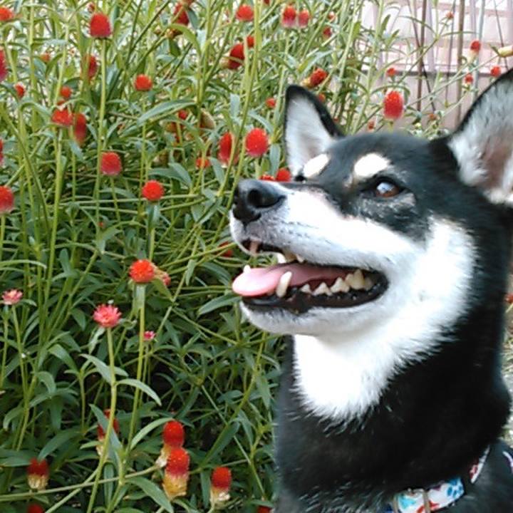 0690acc4 d5f3 45b4 88d2 0d21e2ac614b