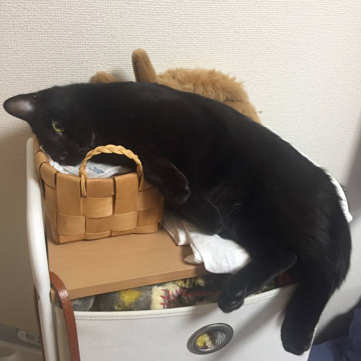 06914b58 9c74 4bb6 bc6f ddf8f101912e