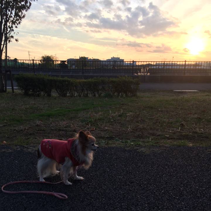 069154b3 af35 4bce bf7b dbd19488f027