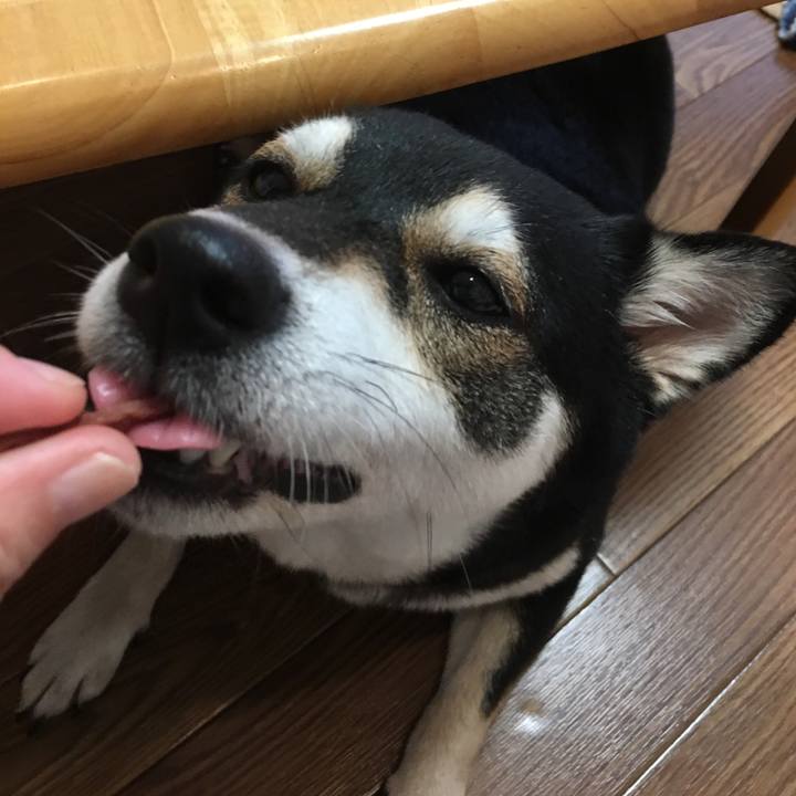 0691863f dee0 4d3f b74e e494080e5ae1