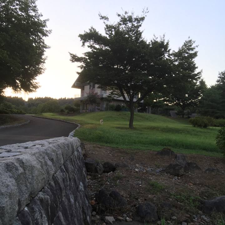 06919293 81df 4482 9679 de25076bfaa0