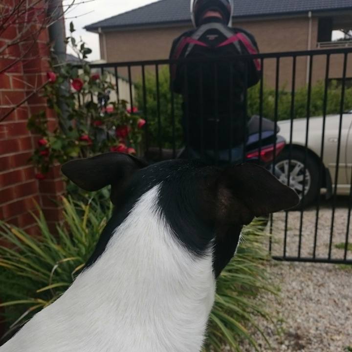 0691a972 eb04 43ea b199 e6fc666b5303