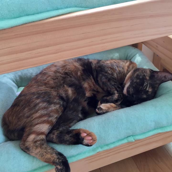 0691b835 b0f8 446b 85bc 7e5889bf318a