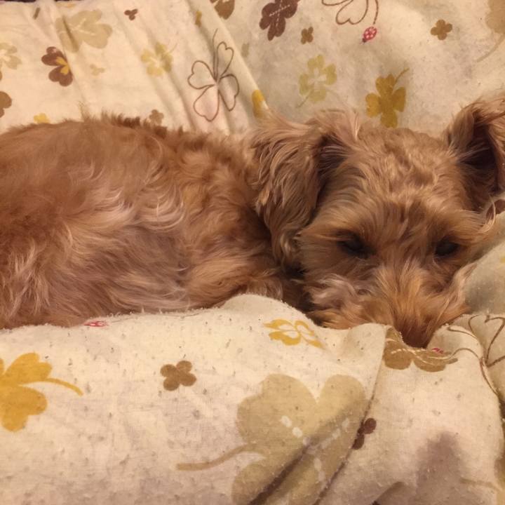 0691e225 9f3f 4a61 b4d1 25d646f80514