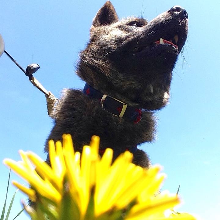 069468b0 a91b 426e 8586 8154abad2d37