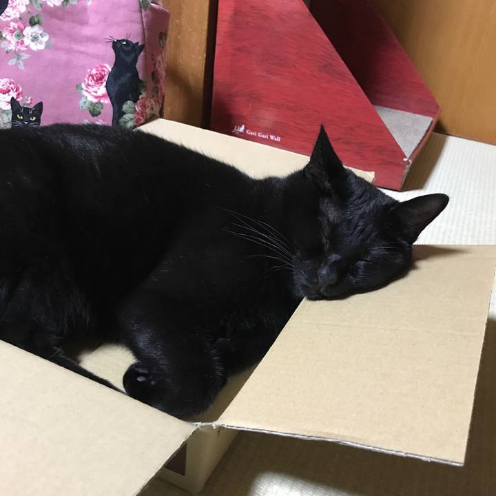 06949787 ad14 4d33 a531 4b2aa206e1b4