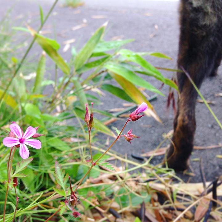 0694d501 cb4b 4ce7 a6cf b4f3062bc3c2